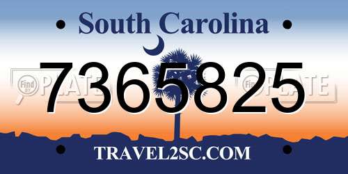 7365825 South Carolina License Plate