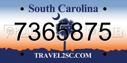7365875 South Carolina License Plate