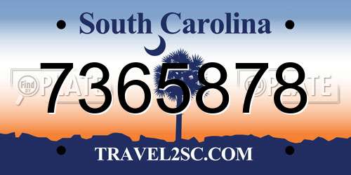 7365878 South Carolina License Plate