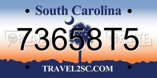 73658T5 South Carolina License Plate