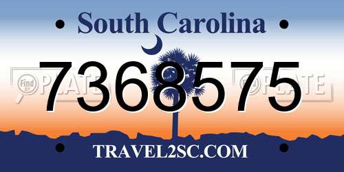 7368575 South Carolina License Plate