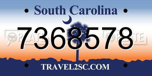 7368578 South Carolina License Plate