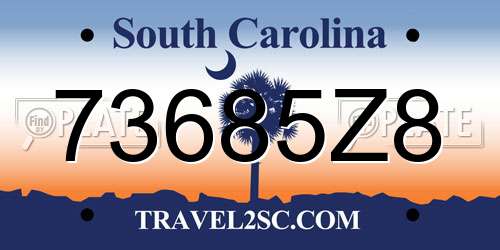 73685Z8 South Carolina License Plate