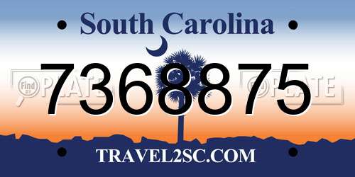 7368875 South Carolina License Plate