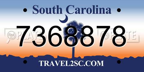 7368878 South Carolina License Plate