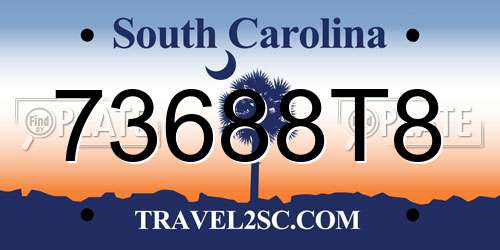 73688T8 South Carolina License Plate