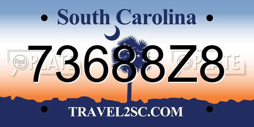 73688Z8 South Carolina License Plate