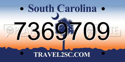 7369709 South Carolina License Plate