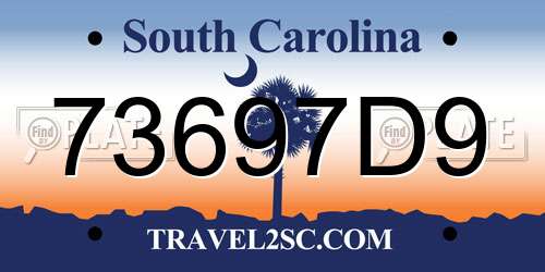 73697D9 South Carolina License Plate