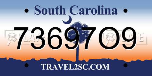 73697O9 South Carolina License Plate