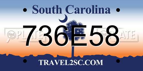 736E58 South Carolina License Plate