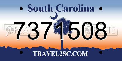 7371508 South Carolina License Plate