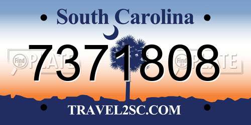 7371808 South Carolina License Plate