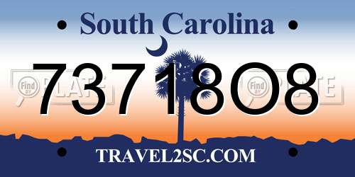 73718O8 South Carolina License Plate