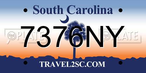 7376NY South Carolina License Plate