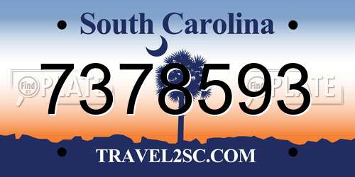 7378593 South Carolina License Plate