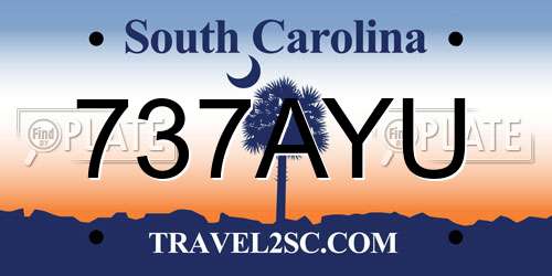 737AYU South Carolina License Plate