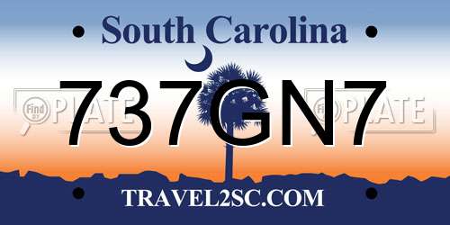 737GN7 South Carolina License Plate