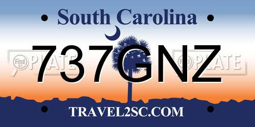 737GNZ South Carolina License Plate
