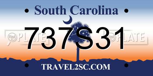 737S31 South Carolina License Plate