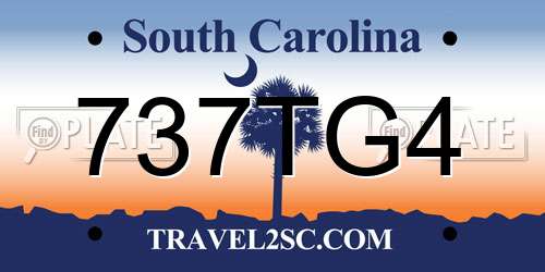 737TG4 South Carolina License Plate