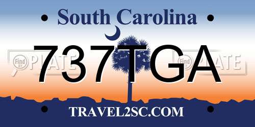 737TGA South Carolina License Plate
