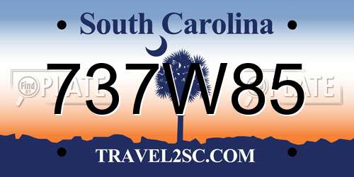 737W85 South Carolina License Plate