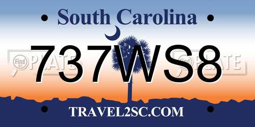 737WS8 South Carolina License Plate