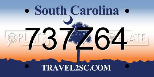 737Z64 South Carolina License Plate