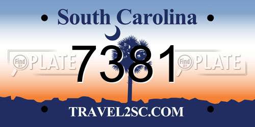 7381 South Carolina License Plate