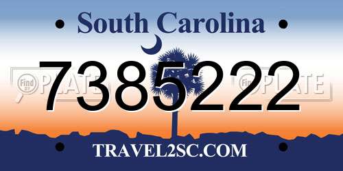 7385222 South Carolina License Plate