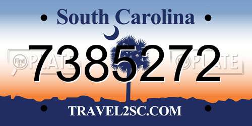 7385272 South Carolina License Plate