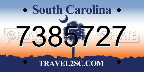 7385727 South Carolina License Plate