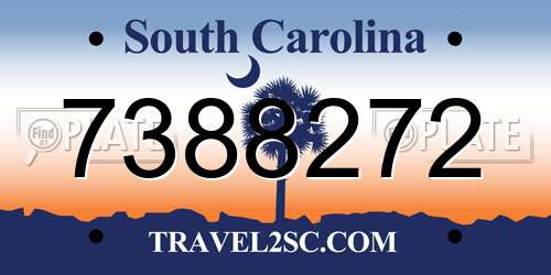 7388272 South Carolina License Plate