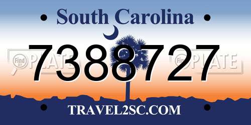 7388727 South Carolina License Plate
