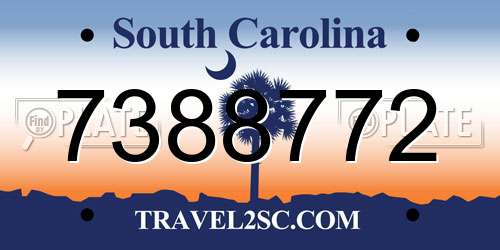 7388772 South Carolina License Plate