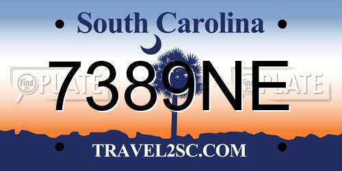7389NE South Carolina License Plate