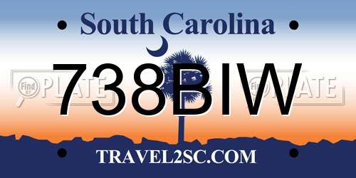 738BIW South Carolina License Plate