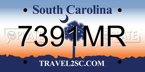 7391MR South Carolina License Plate