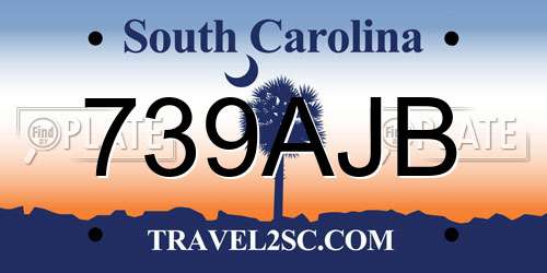 739AJB South Carolina License Plate