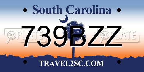 739BZZ South Carolina License Plate