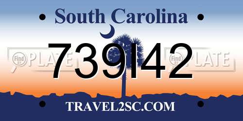 739I42 South Carolina License Plate