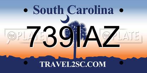 739IAZ South Carolina License Plate