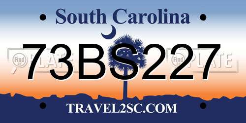 73BS227 South Carolina License Plate