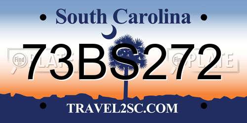 73BS272 South Carolina License Plate