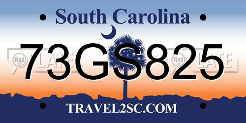 73GS825 South Carolina License Plate