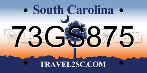 73GS875 South Carolina License Plate