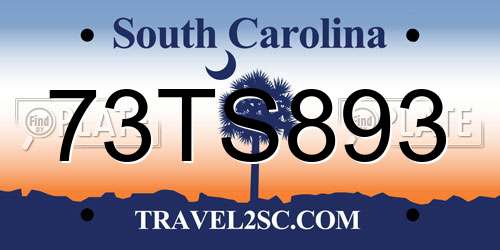 73TS893 South Carolina License Plate