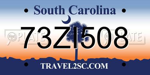 73ZI508 South Carolina License Plate