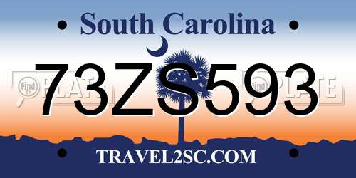 73ZS593 South Carolina License Plate